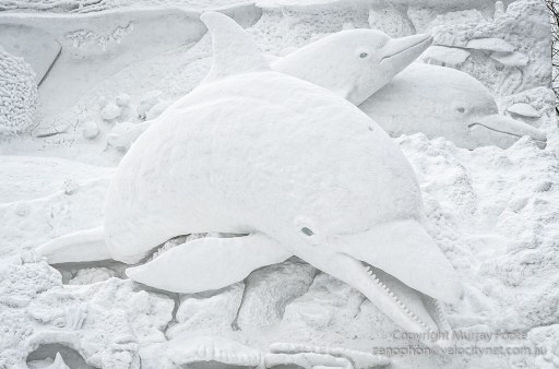 Snow Aquarium ~ Gift from the Sea