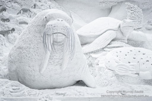 Snow Aquarium ~ Gift from the Sea