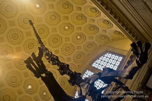 Brontosaurussy thing (but not called that anymore)