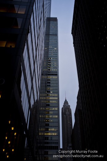 from Zuccotti Square