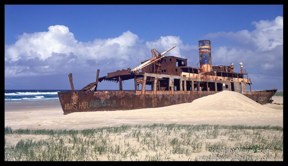 Cherry-Venture-in-Daytime