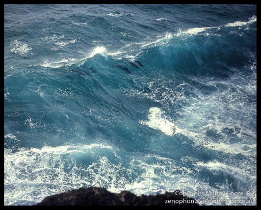 Double-Island-Point-Dolphins-2