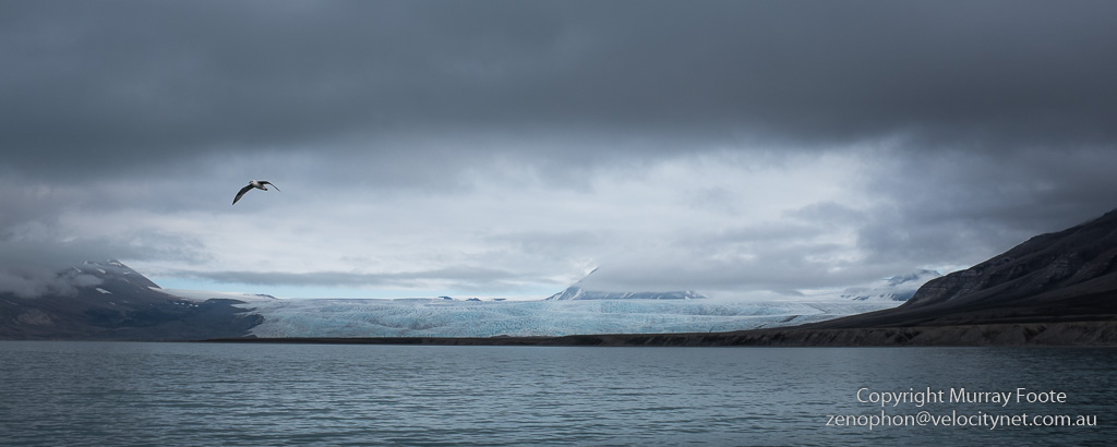 Nordenskjold Glacier