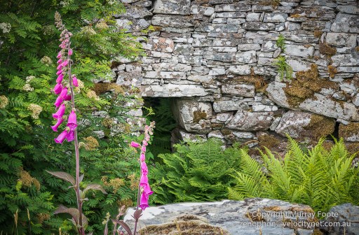 The entrance to Ousdale Broch from the back wall