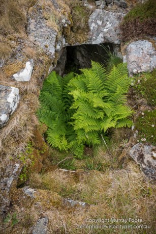 The entrance to Ousdale Broch