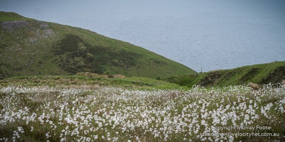 Ousdale Broch (middle distance)