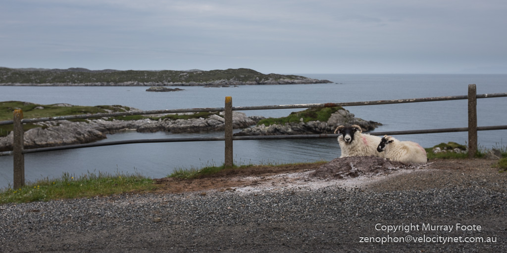 South Harris (south coast)