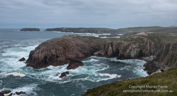 [Group 1]-_DSF3833__DSF3836-2 images