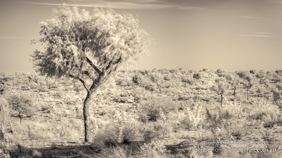 [Group 0]-DSCF3742_DSCF3757-6 images-Edit