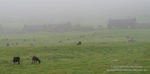 Architecture, Hebrides, History, Landscape, Photography, Scotland, Soay sheep, St Kilda, Travel