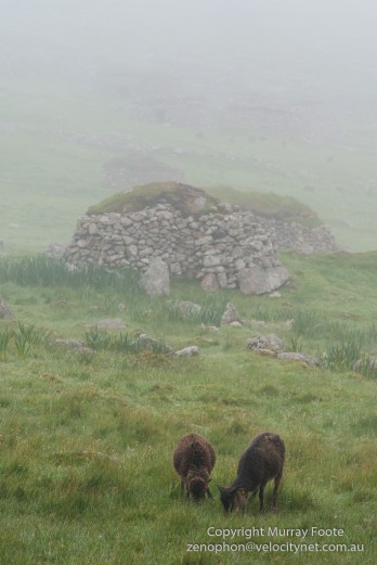  Archaeology, Architecture, Hebrides, History, Landscape, Photography, Scotland, Soay sheep, St Kilda, Travel