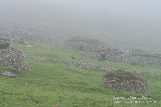  Archaeology, Architecture, Hebrides, History, Landscape, Photography, Scotland, Soay sheep, St Kilda, Travel