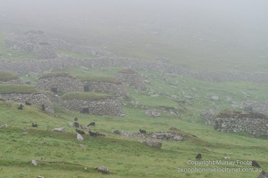 Archaeology, Architecture, Hebrides, History, Landscape, Photography, Scotland, Soay sheep, St Kilda, Travel