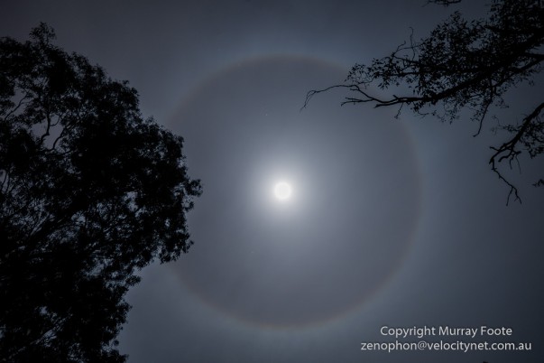 Ring around the moon, Canberra, June 2014
