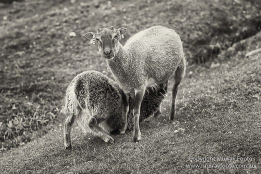 photography, travel, archaeology, history, landscape, architecture, scotland, st-kilda, Hebrides, Monochrome, Black and White, Infrared