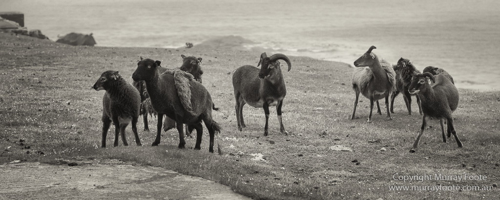 photography, travel, archaeology, history, landscape, architecture, scotland, st-kilda, Hebrides, Monochrome, Black and White, Infrared
