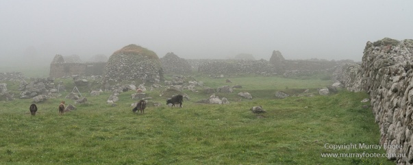 Archaeology, Architecture, Hebrides, History, Landscape, Photography, Scotland, Soay sheep, St Kilda, Travel