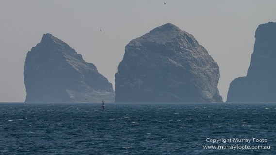Hebrides, History, Landscape, Nature, Photography, Scotland, seascape, St Kilda, Travel