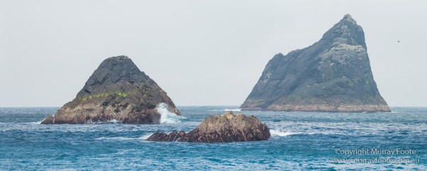 Hebrides, Landscape, Nature, Photography, Scotland, seascape, St Kilda, Travel, Wildlife