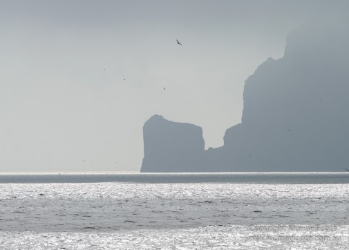Hebrides, Landscape, Nature, Photography, Scotland, seascape, St Kilda, Travel, Wildlife