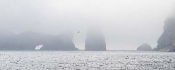 Hebrides, Landscape, Nature, Photography, Scotland, seascape, St Kilda, Travel, Wildlife