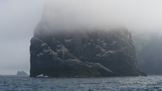 Hebrides, Landscape, Nature, Photography, Scotland, seascape, St Kilda, Travel, Wildlife