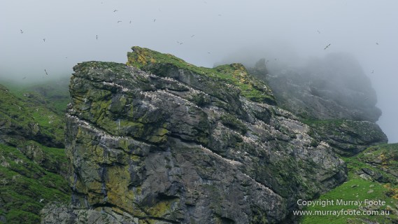 gannets, Hebrides, History, Landscape, Nature, Photography, Scotland, seascape, St Kilda, Travel, Wildlife