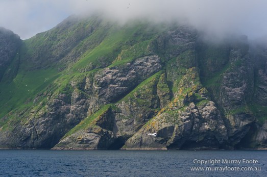gannets, Hebrides, History, Landscape, Nature, Photography, Scotland, seascape, St Kilda, Travel, Wildlife