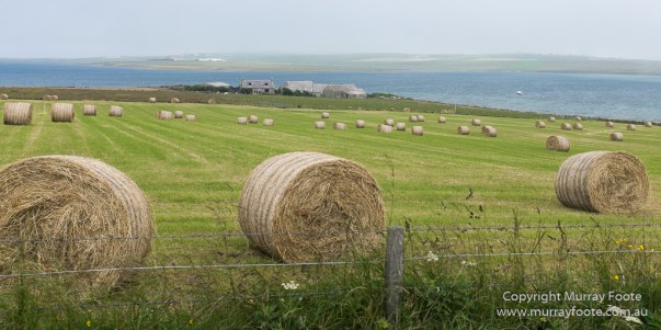 Archaeology, Architecture, Deerness, History, Landscape, Orkney, Photography, Scotland, seascape, Travel
