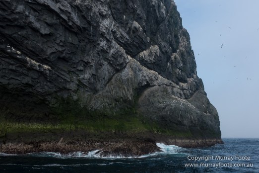 Hebrides, Landscape, Nature, Photography, Scotland, seascape, St Kilda, Travel, Wildlife
