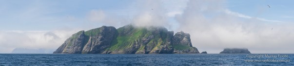 gannets, Hebrides, History, Landscape, Nature, Photography, Scotland, seascape, St Kilda, Travel, Wildlife