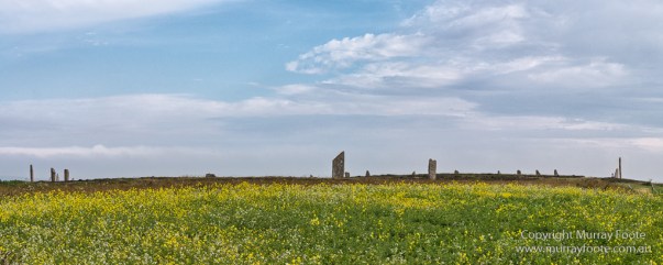 [Group 1]-_1382731__1382737-3 images_s