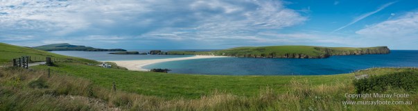 [Group 1]-DSCF5479_DSCF5491-5 images_s