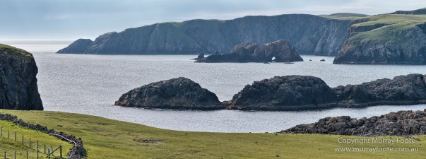 [Group 2]-_1383134__1383137-2 images_s