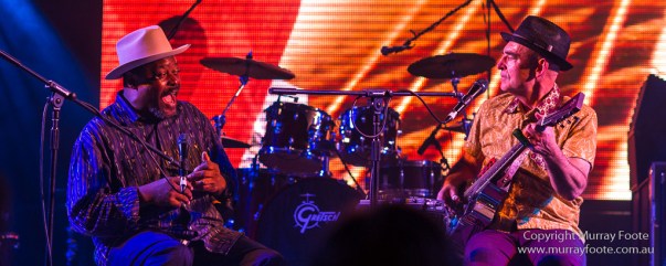 Phil Wiggins and Dom Turner