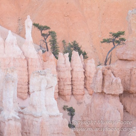 Landscape, Photography, Southwest Canyonlands, Travel, USA
