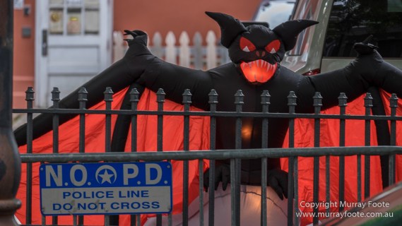 Blues, Landscape, Live Music, New Orleans, Photography, Travel, USA