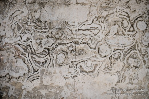  Blues, Landscape, Live Music, Nature, New Orleans, Photography, Travel, USA