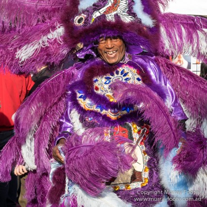  Blues, Landscape, Live Music, Nature, New Orleans, Photography, Travel, USA