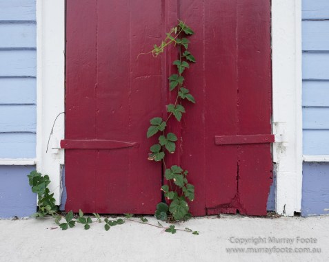  Blues, Landscape, Live Music, Nature, New Orleans, Photography, Travel, USA