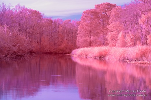  Blues, Landscape, Live Music, Nature, New Orleans, Photography, Travel, USA