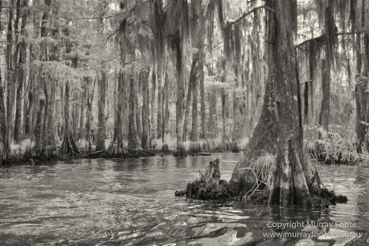  Blues, Landscape, Live Music, Nature, New Orleans, Photography, Travel, USA
