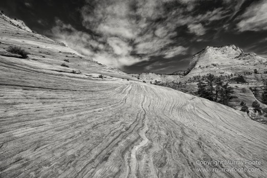 Black and White, Infrared, Landscape, Monochrome, Photography, Southwest Canyonlands, Travel, USA, Utah, Zion Canyon