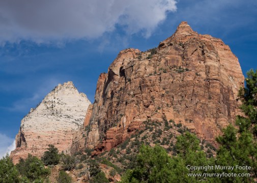 Landscape, Photography, Southwest Canyonlands, Travel, USA, Utah, Zion Canyon
