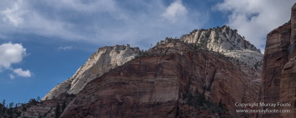 Landscape, Photography, Southwest Canyonlands, Travel, USA, Utah, Zion Canyon