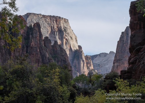 Landscape, Photography, Southwest Canyonlands, Travel, USA, Utah, Zion Canyon