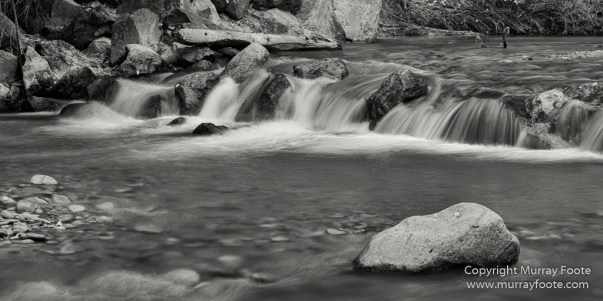 Black and White, Infrared, Landscape, Monochrome, Photography, Southwest Canyonlands, Travel, USA, Utah, Zion Canyon