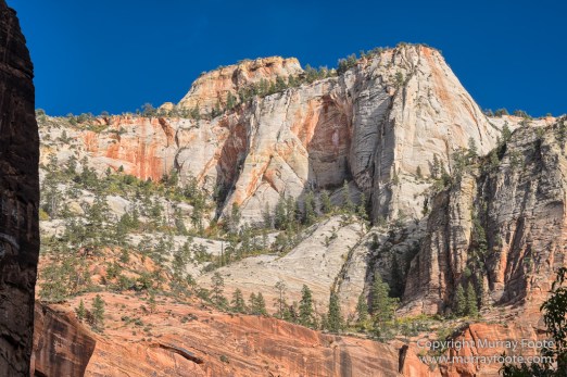 Landscape, Photography, Southwest Canyonlands, Travel, USA, Utah, Zion Canyon