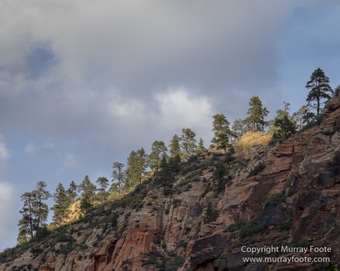 Landscape, Photography, Southwest Canyonlands, Travel, USA, Utah, Zion Canyon