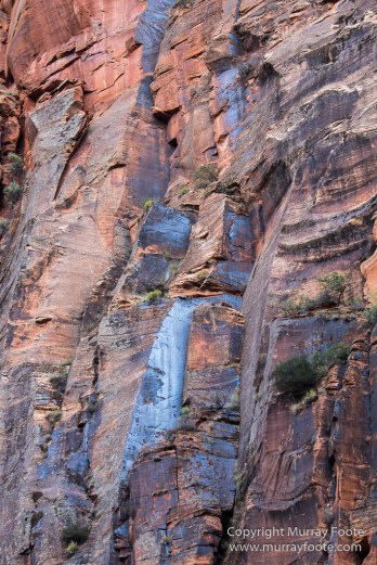 Landscape, Photography, Southwest Canyonlands, Travel, USA, Utah, Zion Canyon